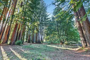 8472 Empire Grade, Santa Cruz, CA 95060 - Photo 47