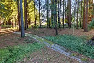 8472 Empire Grade, Santa Cruz, CA 95060 - Photo 39