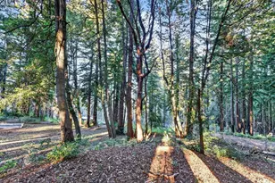 8472 Empire Grade, Santa Cruz, CA 95060 - Photo 45