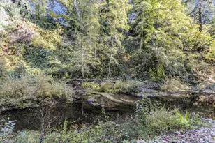 265 Brown Gables Rd 34, Ben Lomond, CA 95005 - Photo 31