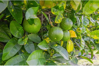 1231 Padre Dr, Salinas, CA 93901 - Photo 37