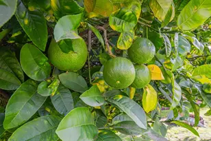 1231 Padre Dr, Salinas, CA 93901 - Photo 37