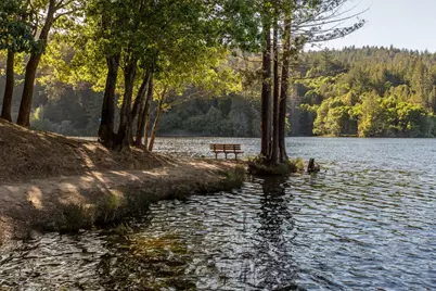 11207 Lake Blvd, Felton, CA 95018 - Photo 35