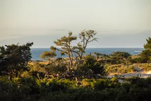 2927 Old 17 Mile Dr, Pebble Beach, CA 93953 - Photo 21