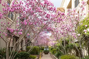 4388 El Camino Real 130, Los Altos, CA 94022 - Photo 23