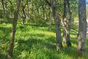 15583 33rd Ave, Clearlake, CA 95422 - Photo 1