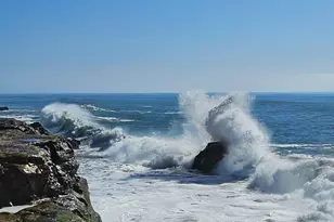 1311 Delaware Ave, Santa Cruz, CA 95060 - Photo 17