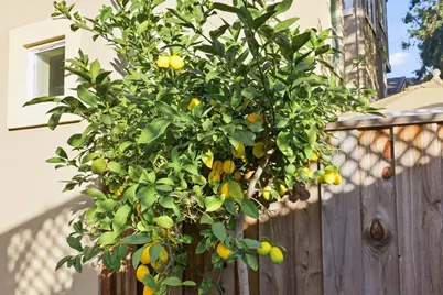 3522 Eastin Pl, Santa Clara, CA 95051 - Photo 67