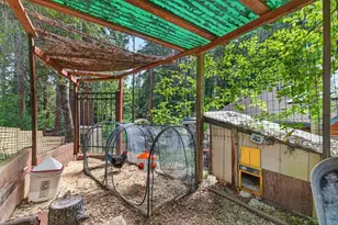360 McGaffigan Mill Rd, Boulder Creek, CA 95006 - Photo 67