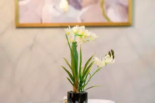 6148 Shelter Creek Ln, San Bruno, CA 94066 - Photo 29