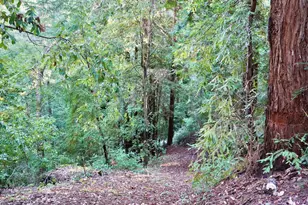 245 Northridge Dr, Scotts Valley, CA 95066 - Photo 45