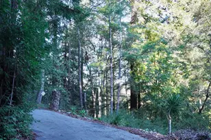 245 Northridge Dr, Scotts Valley, CA 95066 - Photo 5