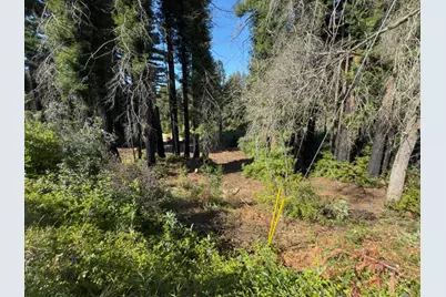 0 Fallen Leaf Dr, Boulder Creek, CA 95006 - Photo 15