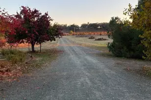 15800 Jackson St, Drytown, CA 95699 - Photo 11