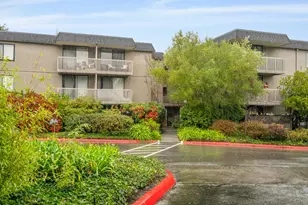 4333 Shelter Creek Ln, San Bruno, CA 94066 - Photo 29