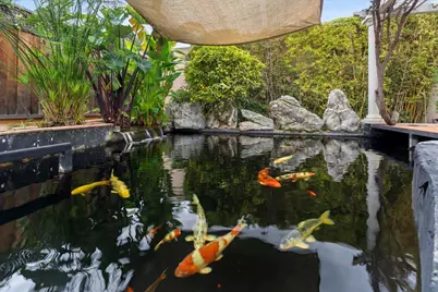 5629 Crow Ln, San Jose, CA 95123 - Photo 39