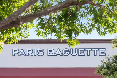 351 Elder Ave, Millbrae, CA 94030 - Photo 53