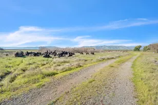 27643 Co Rd 88, Winters, CA 95694 - Photo 47