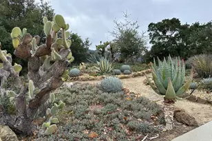 8255 Rancho Real, Gilroy, CA 95020 - Photo 17