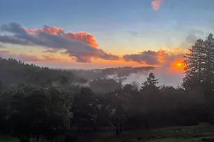 1584 Tindall Ranch Rd, Corralitos, CA 95076 - Photo 101