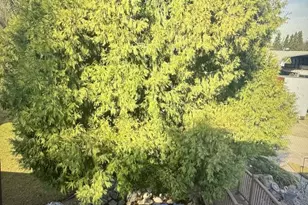 Moran Ave, Atwater, CA 95301 - Photo 5