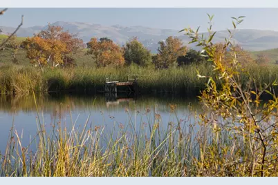 2000 Scott Creek Rd, Milpitas, CA 95035 - Photo 29