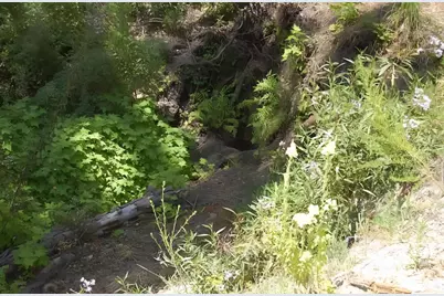 14965 Virginia Ave, Boulder Creek, CA 95006 - Photo 9