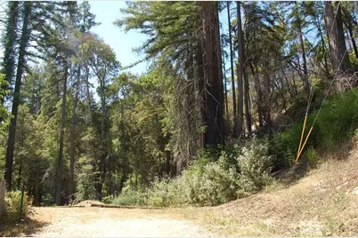 14965 Virginia Ave, Boulder Creek, CA 95006 - Photo 3