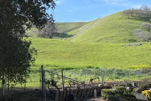 6449 Curie Ct, San Jose, CA 95123 - Photo 91