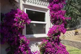 6449 Curie Ct, San Jose, CA 95123 - Photo 91