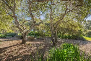 9525 S Century Oak Rd, Salinas, CA 93907 - Photo 37