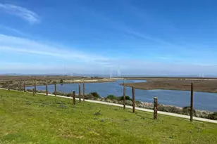 3151 Ramona St, Palo Alto, CA 94306 - Photo 81