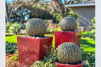 1291 Cordelia Ave, San Jose, CA 95129 - Photo 3