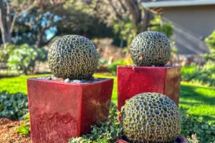 1291 Cordelia Ave, San Jose, CA 95129 - Photo 3