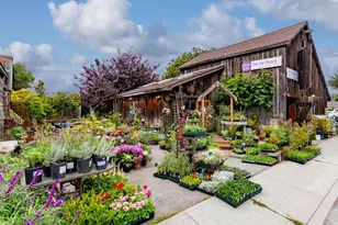 736 Arroyo Leon Dr, Half Moon Bay, CA 94019 - Photo 55