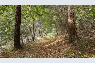 1000 Harmon Gulch Rd, Boulder Creek, CA 95006 - Photo 37