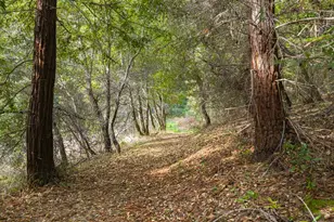 1000 Harmon Gulch Rd, Boulder Creek, CA 95006 - Photo 37