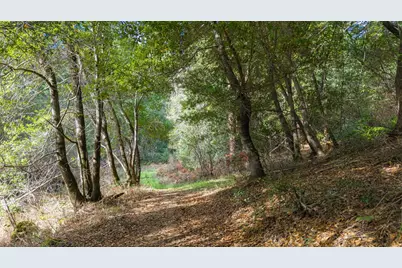 1000 Harmon Gulch Rd, Boulder Creek, CA 95006 - Photo 35