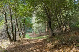 1000 Harmon Gulch Rd, Boulder Creek, CA 95006 - Photo 35