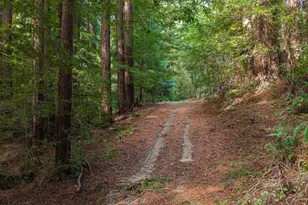 1000 Harmon Gulch Rd, Boulder Creek, CA 95006 - Photo 33