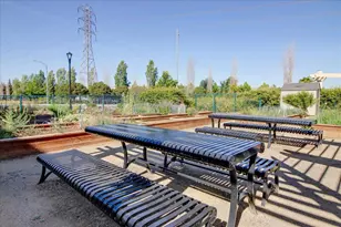 890 White Moonstone Loop, San Jose, CA 95123 - Photo 57