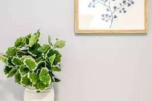 19652 Stanton Ave, Castro Valley, CA 94546 - Photo 45