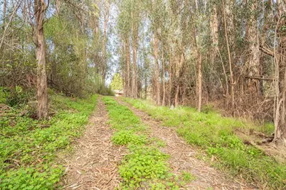 19260 Pioneer Pl, Aromas, CA 95004 - Photo 11