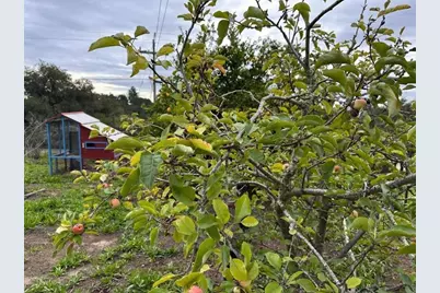 Valley View Dr, Corralitos, CA 95076 - Photo 51