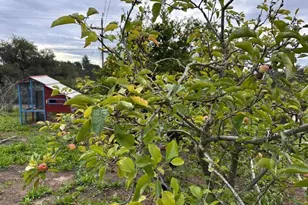 Valley View Dr, Corralitos, CA 95076 - Photo 51