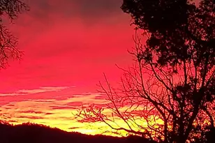 1495 Dons Rd, Boulder Creek, CA 95006 - Photo 33