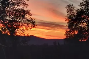 1495 Dons Rd, Boulder Creek, CA 95006 - Photo 39