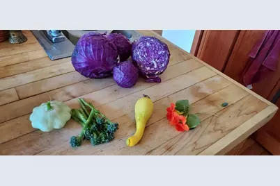 1495 Don's Rd, Boulder Creek, CA 95006 - Photo 35