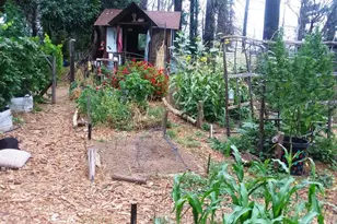 1495 Dons Rd, Boulder Creek, CA 95006 - Photo 33