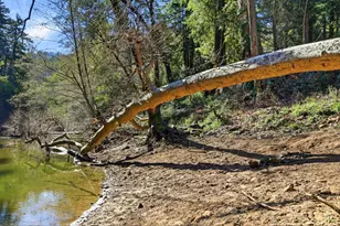 265 Brown Gables Rd 11, Ben Lomond, CA 95005 - Photo 49